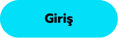 Giriş